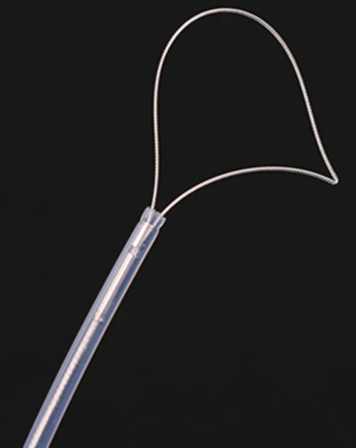 Hot Sale Disposable Polypectomy Snare